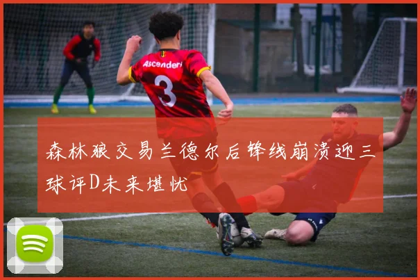 森林狼交易兰德尔后锋线崩溃迎三球评D未来堪忧